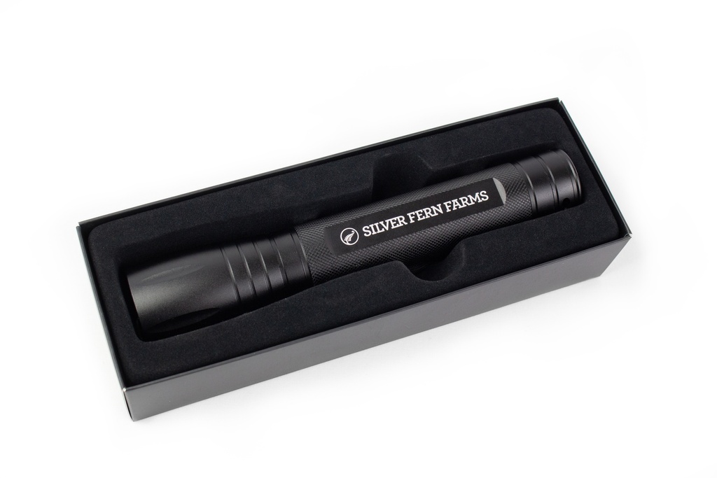 Large Metal Torch