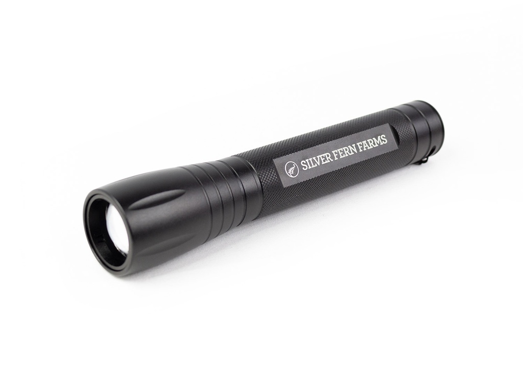 Large Metal Torch